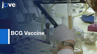 BCG Vaccine for Antigens Expression via Avidinbiotin System  Protocol Preview [upl. by Rellek355]