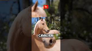 LE 5 RAZZE DI CAVALLI 🏇 PIU COSTOSE AL MONDO 💰🌍🏇 shortvideo animali cavalli costose mondo [upl. by Egor]