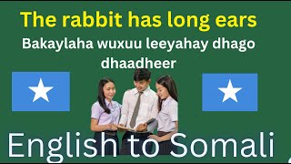 POSSESSIVE NOUNS and PRONOUNS somali english translation [upl. by Alba]