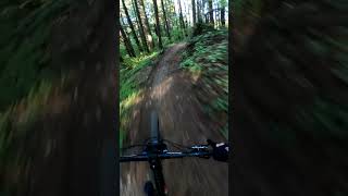 GROUND CONTROL MTB DIRT JUMPSnorcobikes pnw mtb dirtjumps [upl. by Auberon]