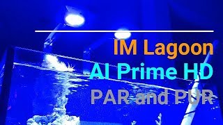 AI Prime HD PAR  Par readings for the 25 Gallon Lagoon [upl. by Hynda]