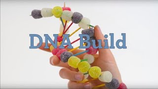 DNA Build [upl. by Levitan]