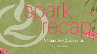 111024 Spark Marriage Conference Recap  Lakewood Marriage Ministry [upl. by Treiber]