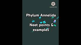 Phylum annelida animalkingdom neetncertbiology zoologynotes pwnotes neet physicswallah [upl. by Trevlac467]