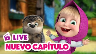 🔴 LIVE 🐻👧 Masha y el Oso 💥 NUEVO CAPÍTULO 🎃😱🦔 Alguien llama 🎬 Masha and the Bear [upl. by Eromle]