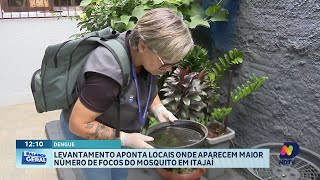 Preocupação com a dengue aumenta em Itajaí com chegada do calor e chuva [upl. by Tolland]