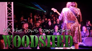 Woodshed  Til the Cows Come Home Live at Shedfest II [upl. by Kara-Lynn]