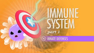 Immune System Part 1 Crash Course Anatomy amp Physiology 45 [upl. by Bury]