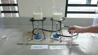 Protein Precipitation  Types Methods Principle Advantages and Disadvantages [upl. by Trillby]