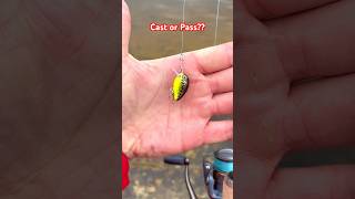 MICRO Crankbaits catch EVERYTHING [upl. by Myrilla671]