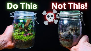 10 ESSENTIAL Terrarium Tips For Beginners [upl. by Tiga]