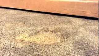 How To Repair Burn in Carpet [upl. by Palmore]