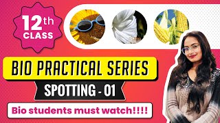 How to do SPOTTING  Biology Practical Class 12 top coaching [upl. by Salomie287]