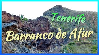 Barranco de Afur ParqueRuralDeAnaga Teneife SantaCruzDeTenerife IslasCanarias CanaryIslands [upl. by Alimrahs]