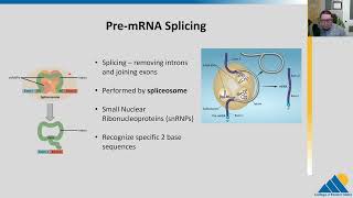 BIOL201 Ch154  RNA Processing in Eukaryotes [upl. by Marshal]