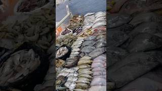 Sagar fish world hoodi Bangalore shorts viralvideo trending food funny fish fishing [upl. by Alvin]