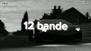 12 bande song  slowed and reverb [upl. by Ailla]