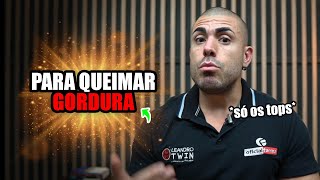 Os 5 melhores suplementos para queimar gordura [upl. by Onibla466]