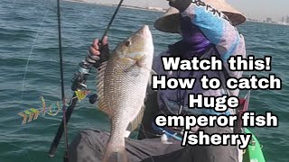 May 4 2024 how to catch emperor fish  kayak fishing in Qatar fishing fish amazing subscribe [upl. by Erret]