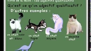 Leçon de français sur les adjectifs qualificatifs  pour les CP CE1  learn french [upl. by Leunamme]