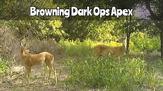 Browning Dark Ops Apex Trail Camera Aug 818 2024 [upl. by Htebzil]