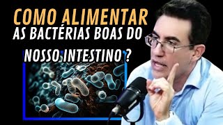 COMO ALIMENTAR AS BACTÉRIAS BOAS DO INTESTINO [upl. by Sev956]