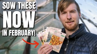 Vegetable Seeds YOU NEED To Sow In February Gardening For Beginners [upl. by Comptom173]