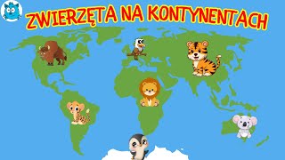 ZWIERZĘTA NA KONTYNENTACH  Film edukacyjny dla dzieci po polsku [upl. by Ydnab925]