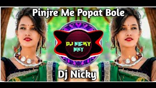 PINJRE ME POPAT BOLE  Full Gondi Dance  DJNICKY [upl. by Carrel]