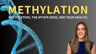 Methylation the MTHFR gene and your health [upl. by Adnovaj]