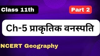 Ch 5 Natural Vegetation class 11 in hindiप्राकृतिक वनस्पति geography [upl. by Enylhsa94]