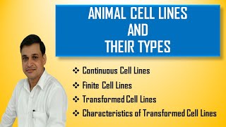 Animal cell lines and their types [upl. by Strait953]