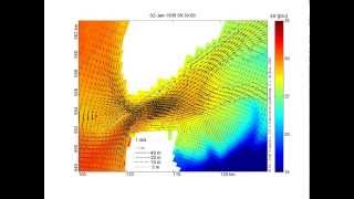 Delft3D simulation of Wadden Sea Marsdiep zoom [upl. by Atival]