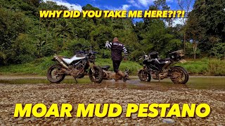 More Mud Pestano  Svartpilen 401 Off Road [upl. by Rafaelle31]