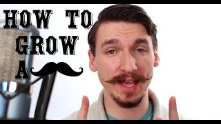 How To Grow and Style a Handlebar Mustache  A Tutorial  Matt Tastic [upl. by Zug]