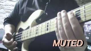 Slap Bass tutorial 4  Octaves [upl. by Albur]