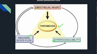 Thrombosis [upl. by Kiehl]