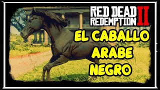 🔥🐎 Cómo CONSEGUIR el CABALLO ÁRABE NEGRO GRATIS de FORMA CORRESTA  RED DEAD REDEMPTION 2 😱 [upl. by Libna]