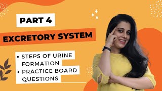 ICSE Class 10 Biology Excretory System Explanation Steps of Urine Formation Ultrafiltration  DRUB [upl. by Llemej]