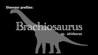 Dinosaur Profile Brachiosaurus [upl. by Anih813]