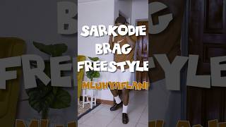 Sarkodie  Brag Freestyle [upl. by Gessner117]