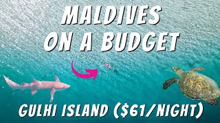 MALDIVES ON A BUDGET  Gulhi Island 61Night  Snorkeling Diving Drone amp More [upl. by Haidabo]