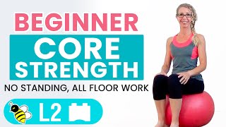 BEGINNER CORE  15 Minute STABILITY BALL Workout for BEGINNERS [upl. by Duster]