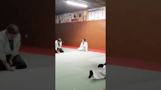 Cerdanya aïkido DOJO DESTAVAR ballaretbougerradiowebco aikido66com [upl. by Nylirahs]