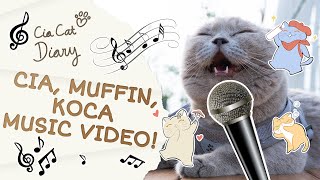 OST Siapa Suka Cia Muffin Koca Music Video  Cia Cat Diary [upl. by Attey]