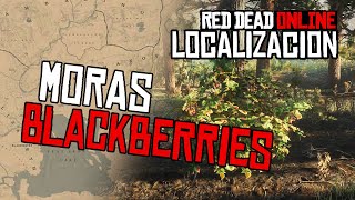 BLACKBERRIES location Moras RDR2 Online [upl. by Lyrahs]