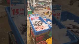 Port and Fish market Singapore singapore fish nature [upl. by Blodget]