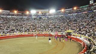 Paseillo Festival Taurino  Feria de Manizales 2019 [upl. by Dylana]