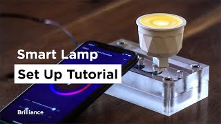 Chameleon Smart Lamp  Set Up Tutorial [upl. by Marela]