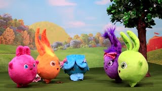 SUNNY BUNNIES  What Do You Do With The Sunny Bunnies  BRAND NEW  SING ALONG  Cartoons for Kids [upl. by Seilenna]